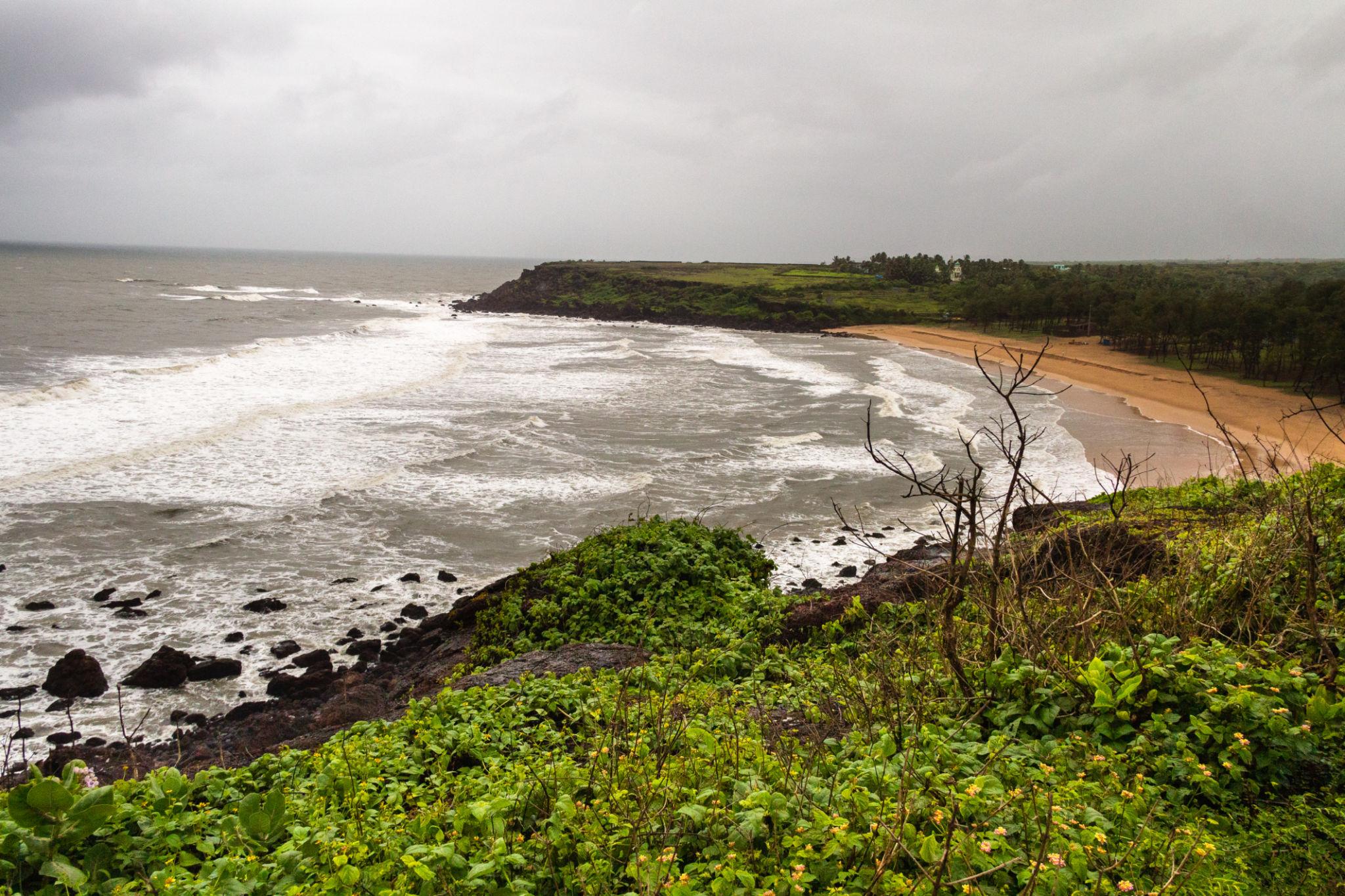 Devgad coastline with coconut trees and Arabian Sea